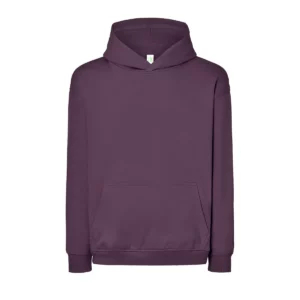 Sudadera JHK SWKNGOVER en Future dark, vista frontal