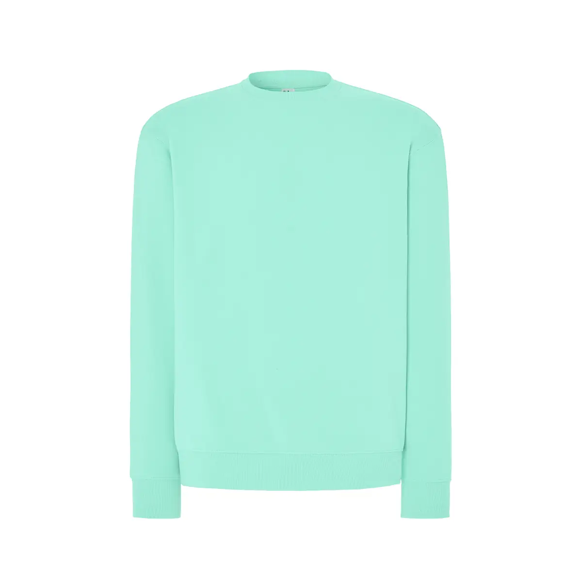 Sudadera JHK SWRA290 48 Sudadera JHK SWRA290 en Mint green, vista frontal