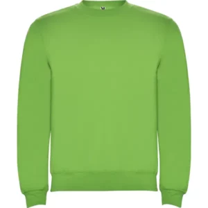 Sudadera Roly SU1070 en Verde oasis, vista frontal