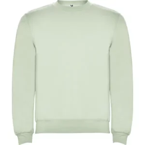 Sudadera Roly SU1070 en Verde mist, vista frontal