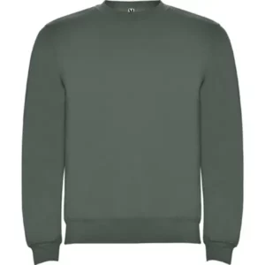Sudadera Roly SU1070 en Verde laurel, vista frontal