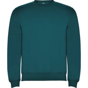 Sudadera Roly SU1070 en Azul lago, vista frontal