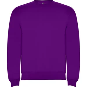 Sudadera Roly SU1070 en Purpura, vista frontal