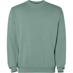 Sudadera Roly SU2203 en Verde pato lavado, vista frontal