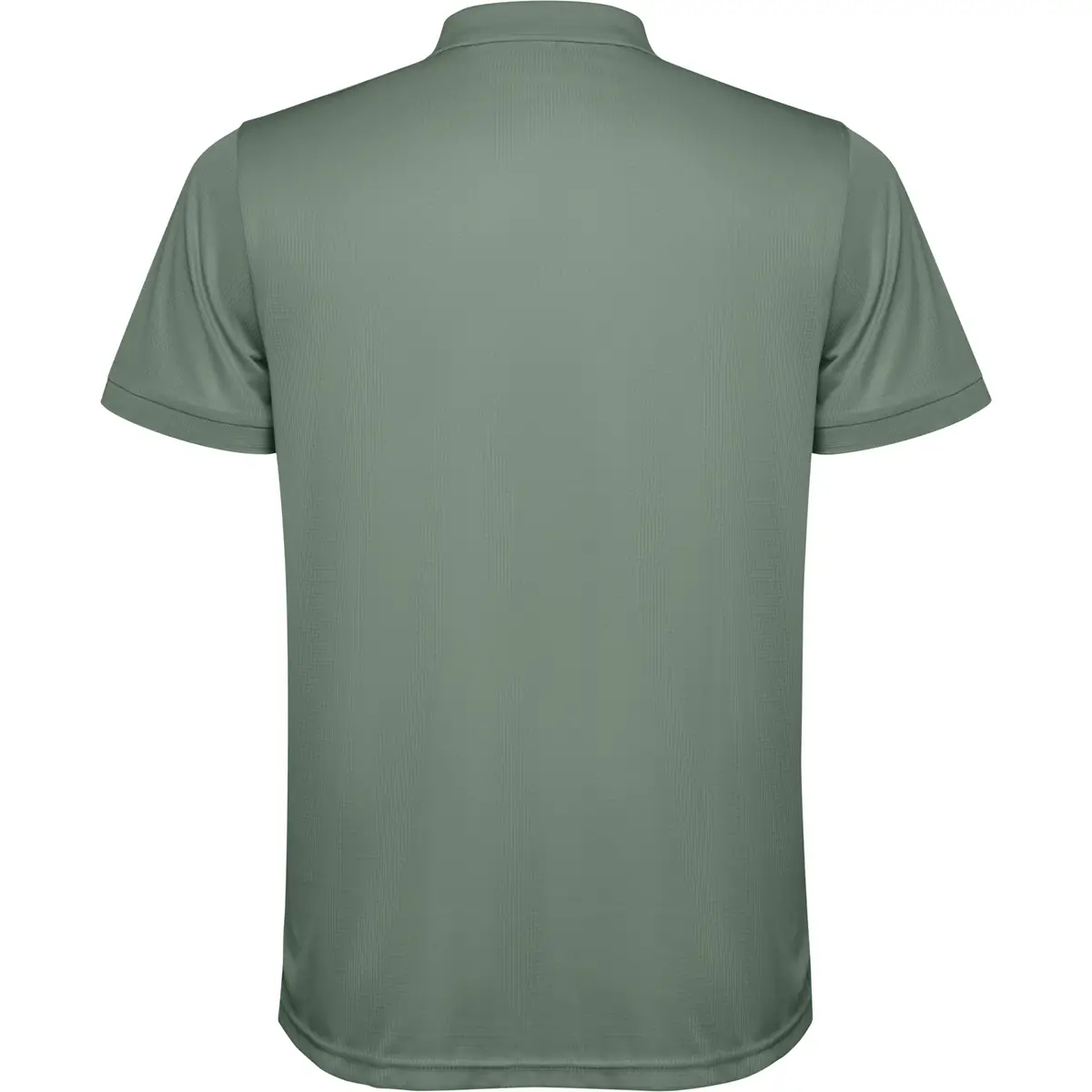 Polo técnico reciclado hombre Roly TORMO 20 Polo Roly TORMO en verde laurel, vista trasera
