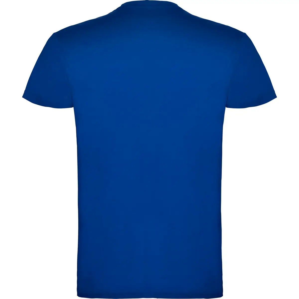 Camiseta de manga corta Unisex Roly BEAGLE 20 Camiseta de manga corta Unisex Roly BEAGLE - Imagen 20