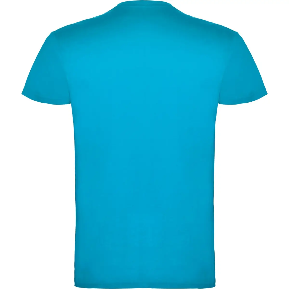 Camiseta de manga corta Unisex Roly BEAGLE 40 Camiseta de manga corta Unisex Roly BEAGLE - Imagen 40