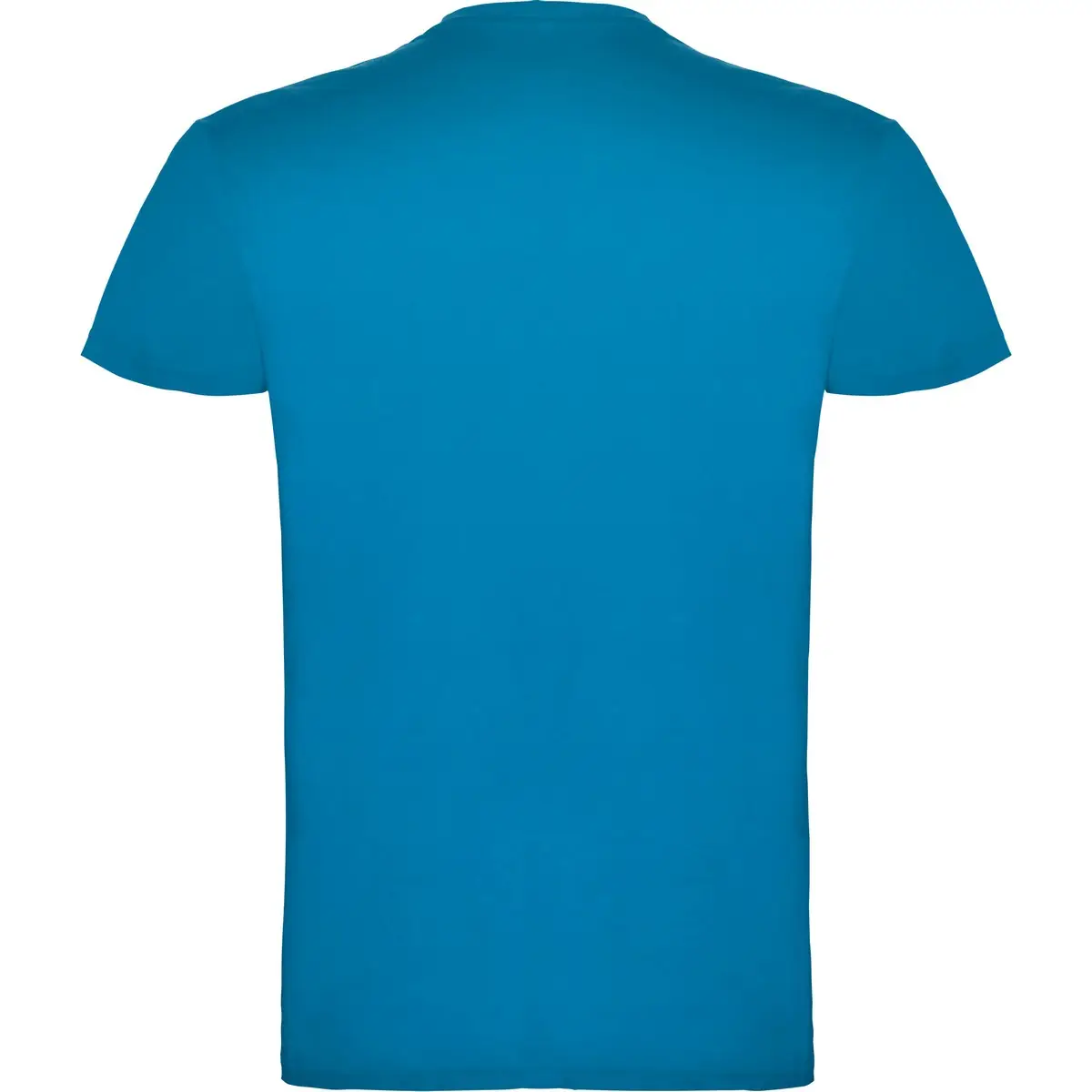 Camiseta de manga corta Unisex Roly BEAGLE 80 Camiseta de manga corta Unisex Roly BEAGLE - Imagen 80