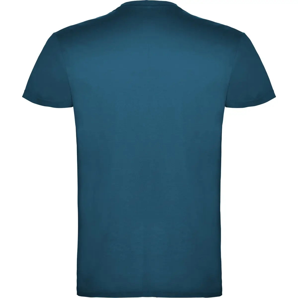 Camiseta de manga corta Unisex Roly BEAGLE 84 Camiseta de manga corta Unisex Roly BEAGLE - Imagen 84