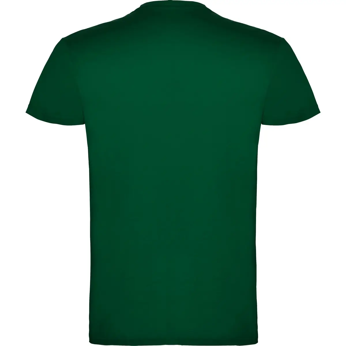 Camiseta de manga corta Unisex Roly BEAGLE 104 Camiseta de manga corta Unisex Roly BEAGLE - Imagen 104
