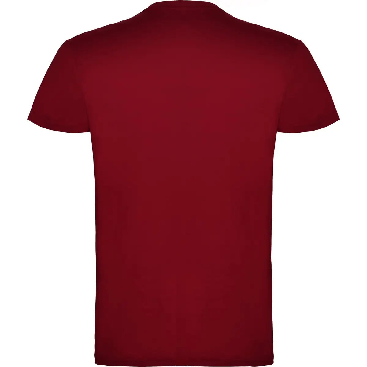 Camiseta de manga corta Unisex Roly BEAGLE 108 Camiseta de manga corta Unisex Roly BEAGLE - Imagen 108