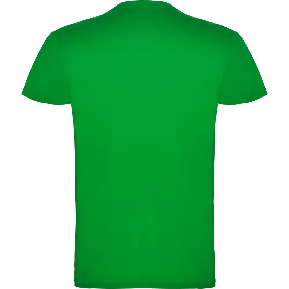 Camiseta de manga corta Unisex Roly BEAGLE 136 Camiseta de manga corta Unisex Roly BEAGLE - Imagen 136