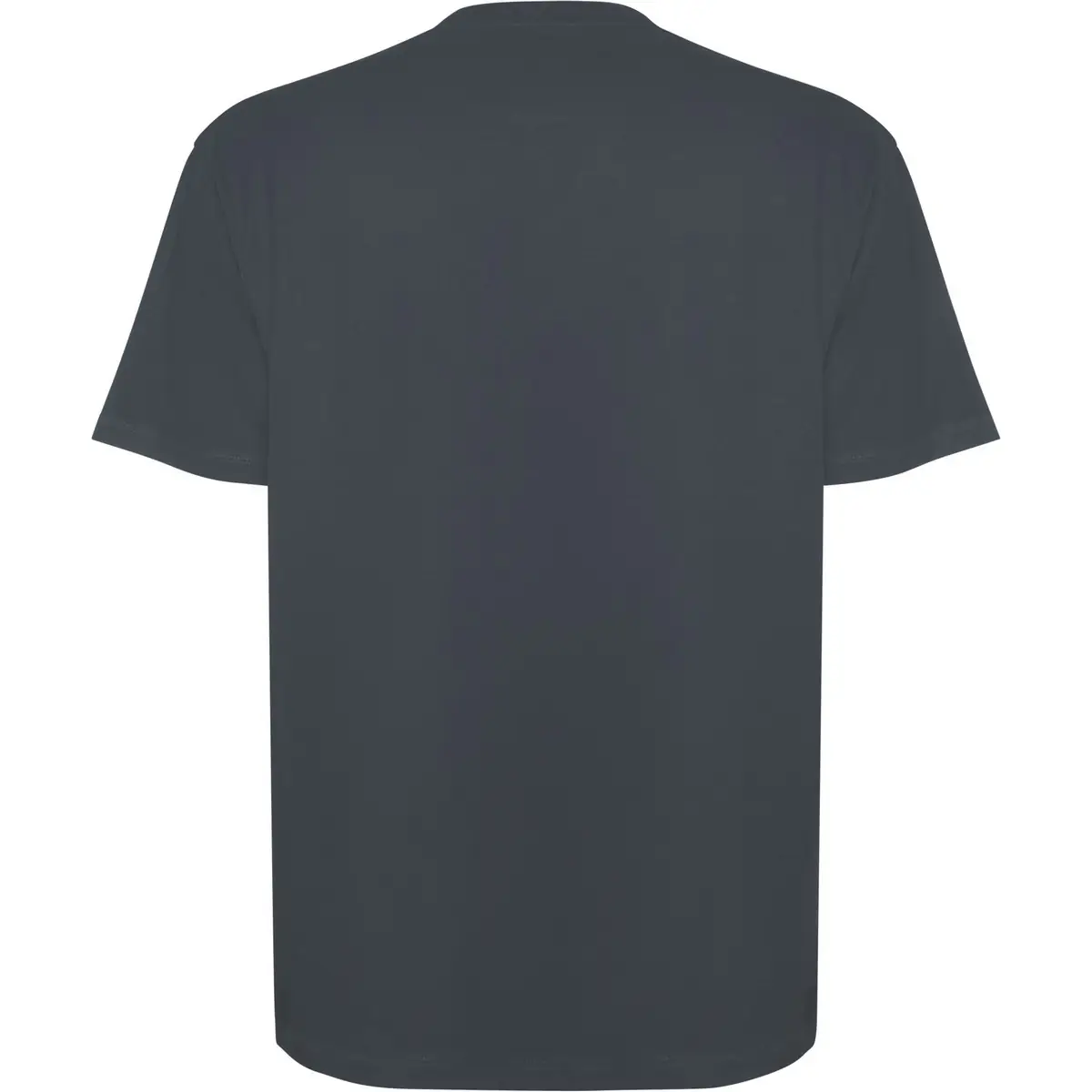 Camiseta gruesa de manga corta Unisex Roly BULL 36 Camiseta gruesa de manga corta Unisex Roly BULL - Imagen 36