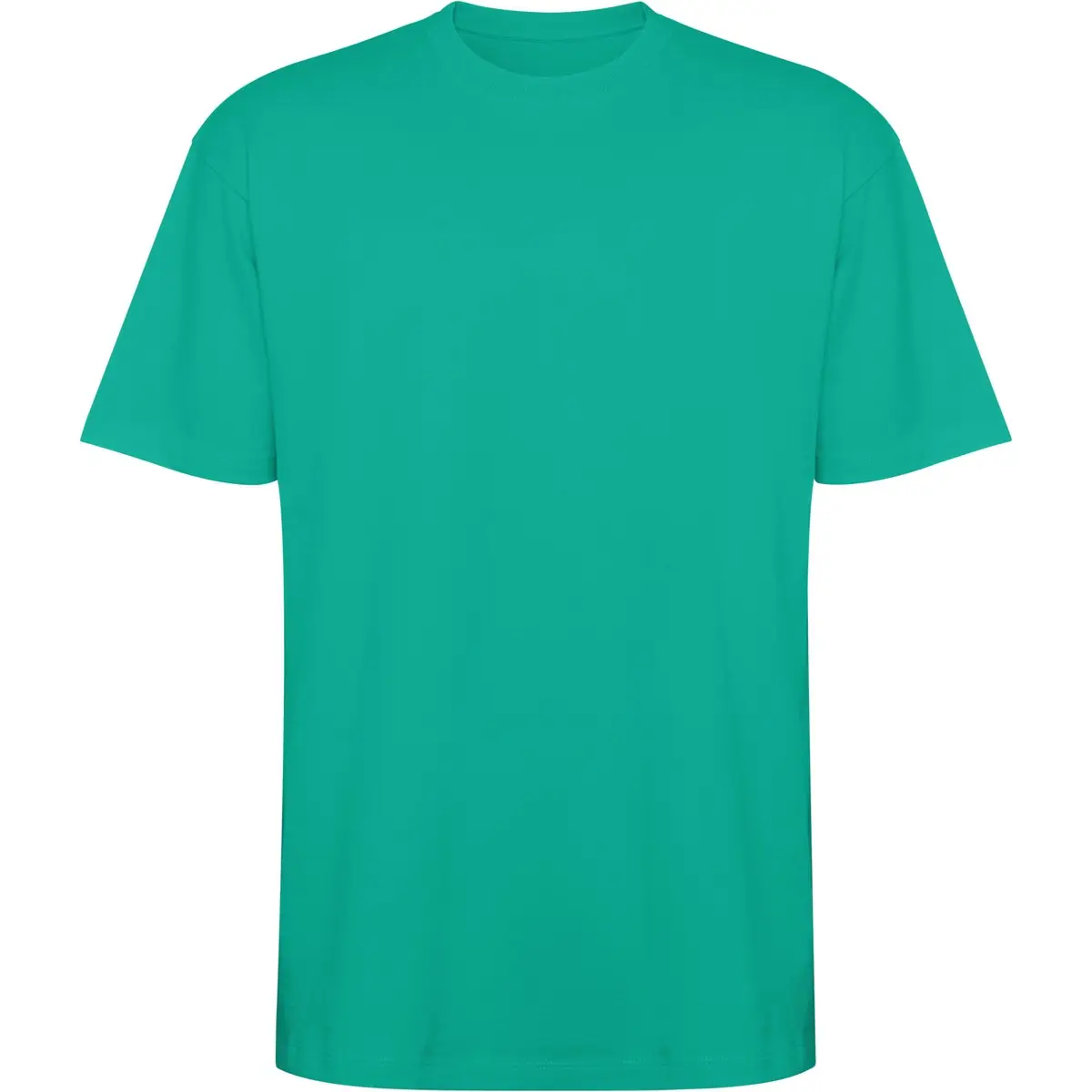 Camiseta gruesa de manga corta Unisex Roly BULL 45 Camiseta gruesa de manga corta Unisex Roly BULL - Imagen 45
