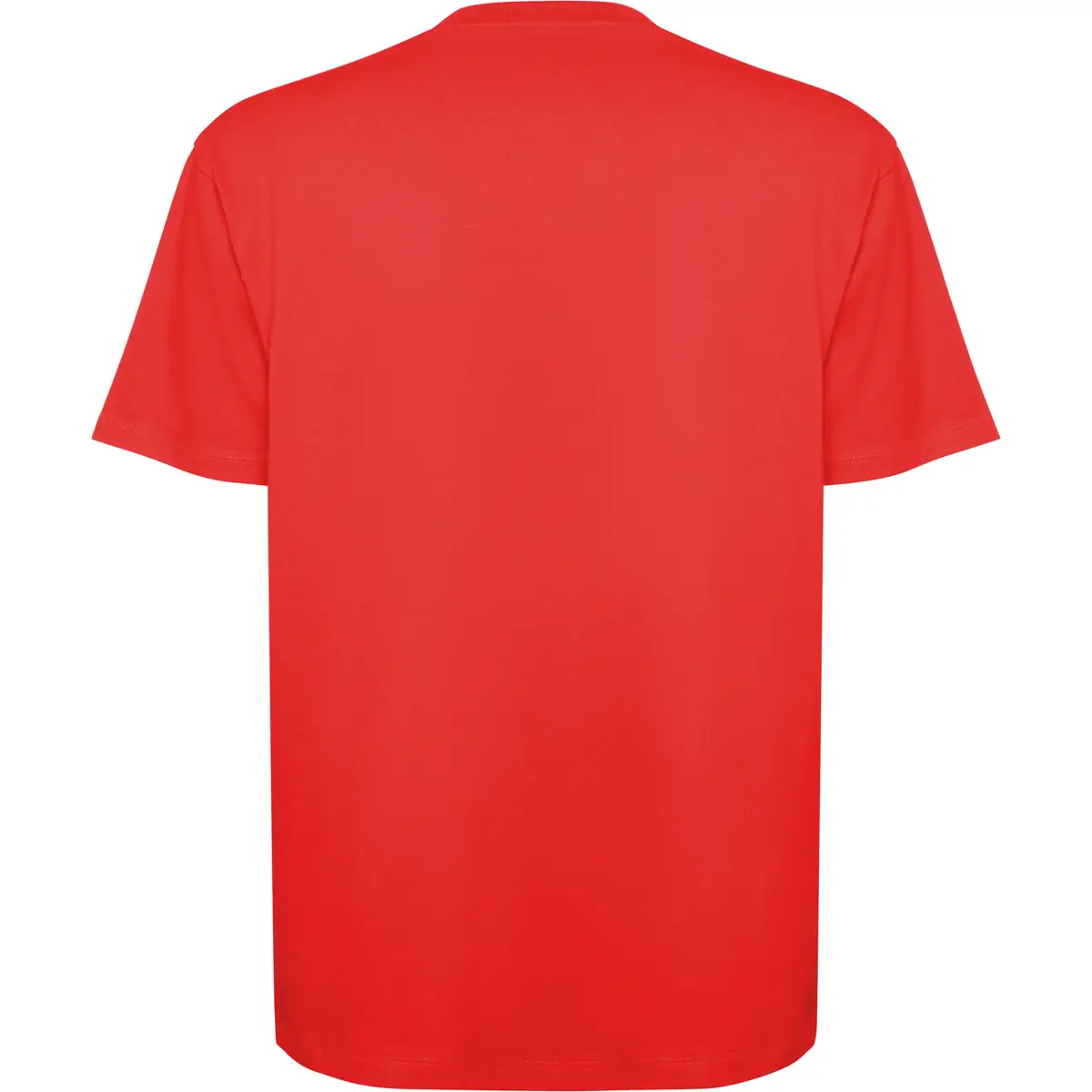 Camiseta gruesa de manga corta Unisex Roly BULL 56 Camiseta gruesa de manga corta Unisex Roly BULL - Imagen 56