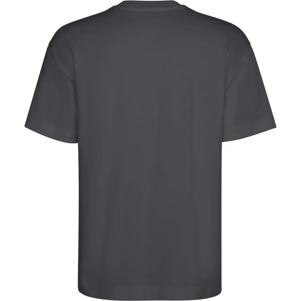 Camiseta gruesa de manga corta Unisex Roly CHOW 21 Camiseta gruesa de manga corta Unisex Roly CHOW - Imagen 21