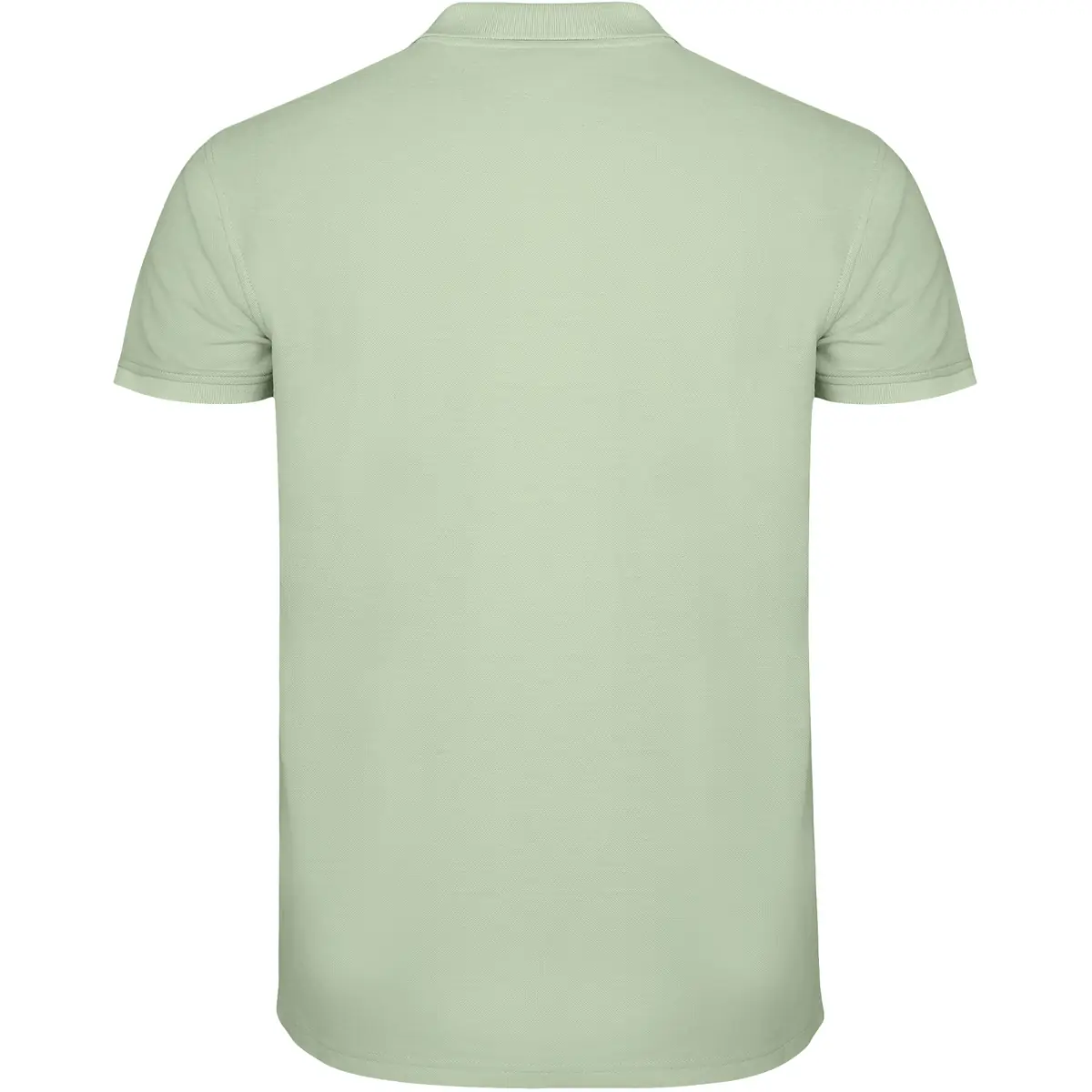Polo piqué manga corta Roly STAR 80 Polo Roly STAR en verde mist, vista trasera