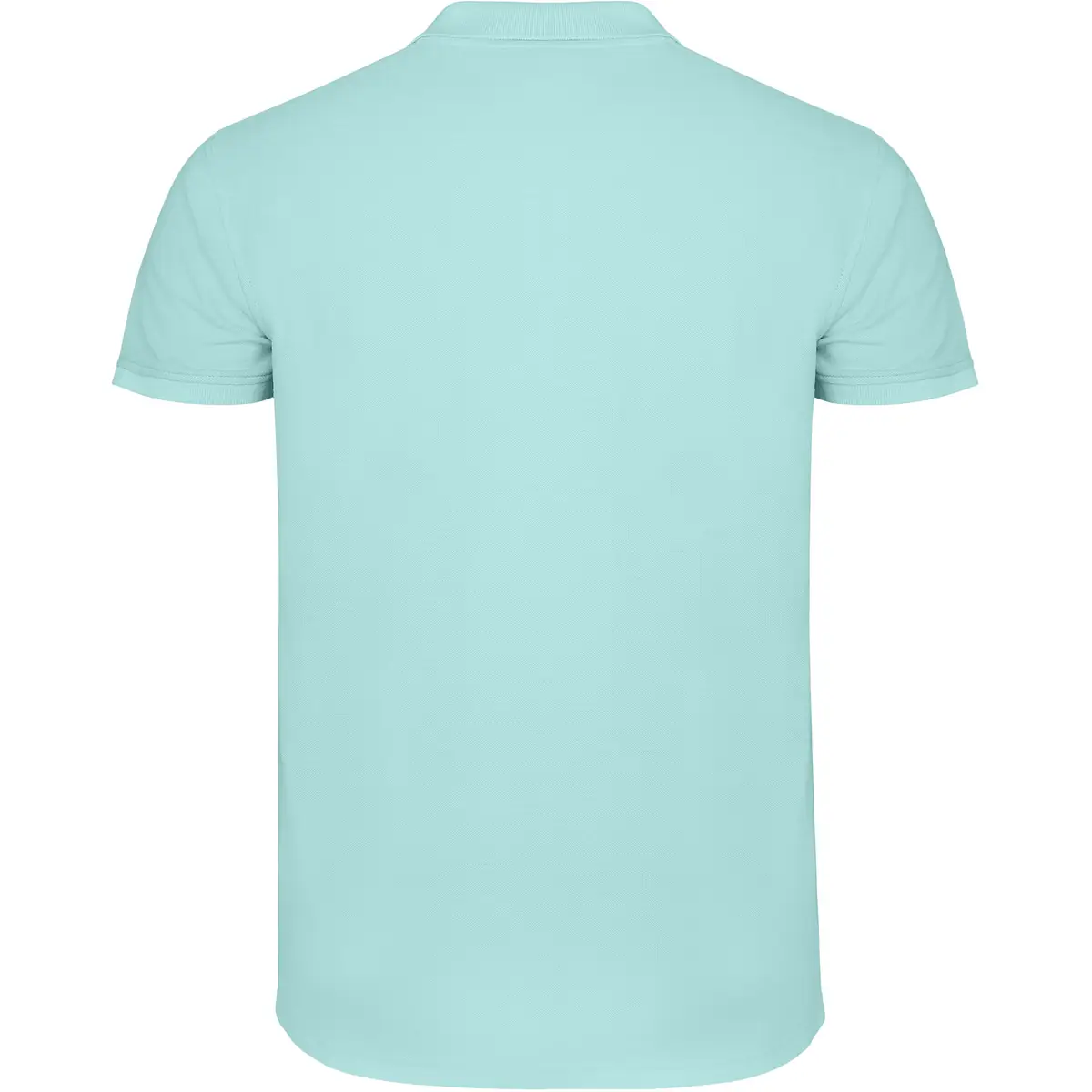 Polo piqué manga corta Roly STAR 140 Polo Roly STAR en verde menta, vista trasera