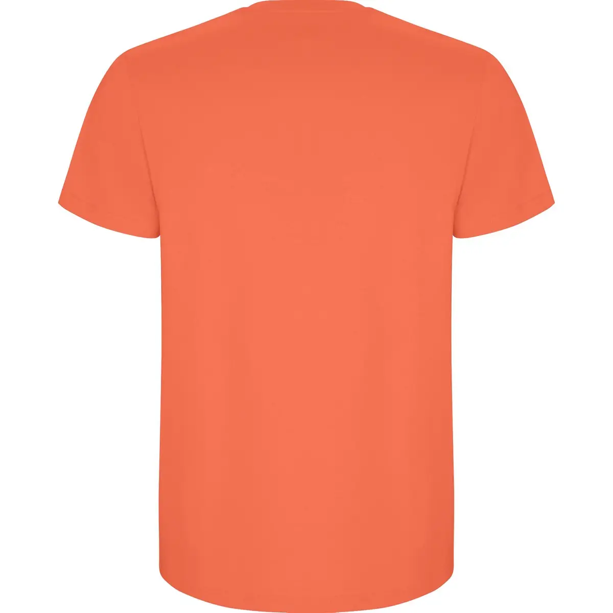 Camiseta de manga corta Hombre Roly STAFFORD 48 Camiseta de manga corta Hombre Roly STAFFORD - Imagen 48