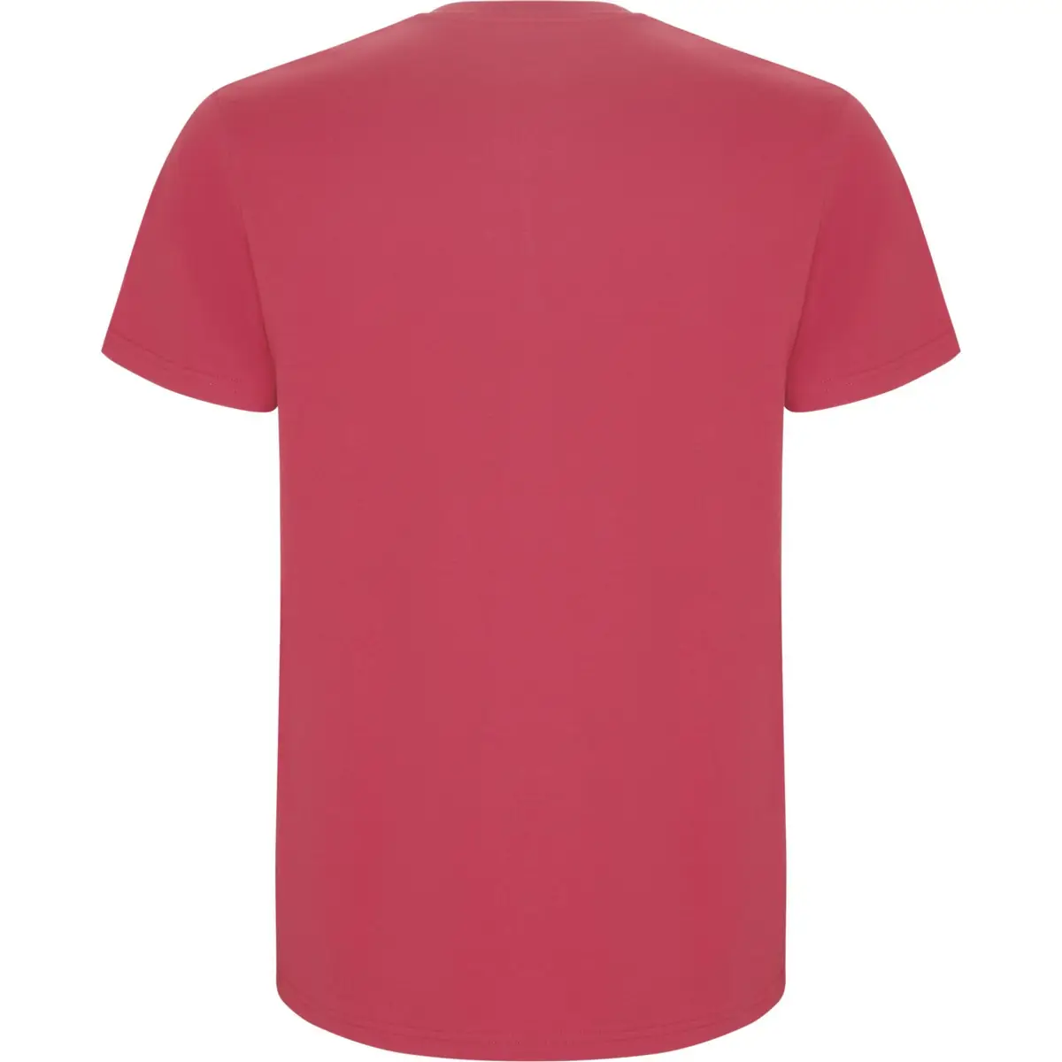 Camiseta de manga corta Hombre Roly STAFFORD 84 Camiseta de manga corta Hombre Roly STAFFORD - Imagen 84