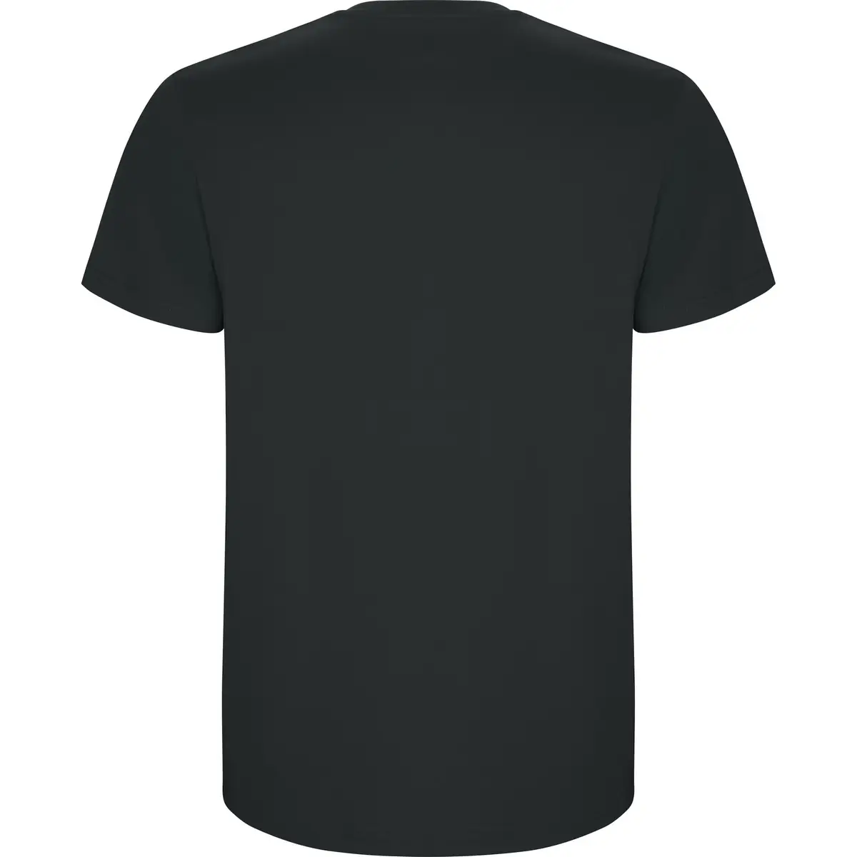 Camiseta de manga corta Hombre Roly STAFFORD 124 Camiseta de manga corta Hombre Roly STAFFORD - Imagen 124
