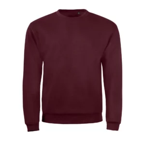 Sudadera SOL’S 01168 en Borgoña, vista frontal