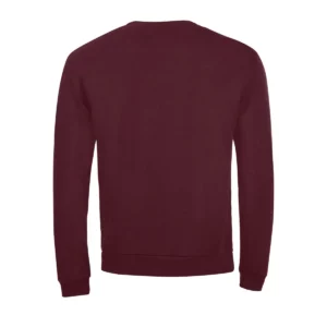 Sudadera SOL’S 01168 en Borgoña, vista trasera