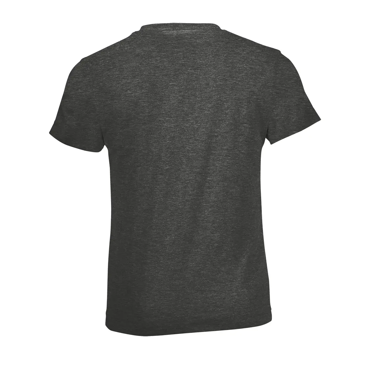 Camiseta SOL'S REGENT FIT KIDS 01183 39 Camiseta SOL'S REGENT FIT KIDS 01183 - Imagen 39