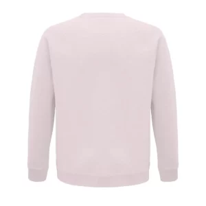 Sudadera SOL’S 03567 en Rosa palido, vista trasera