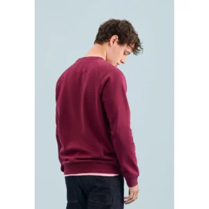 Sudadera SOL’S 03567, vista trasera con persona