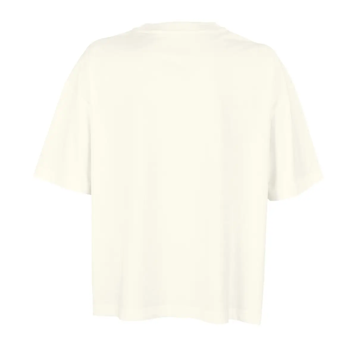 Camiseta SOL'S BOXY WOMEN 03807 50 Camiseta SOL'S BOXY WOMEN 03807 - Imagen 50