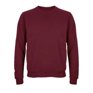 Sudadera SOL’S 03814 en Burdeos, vista frontal