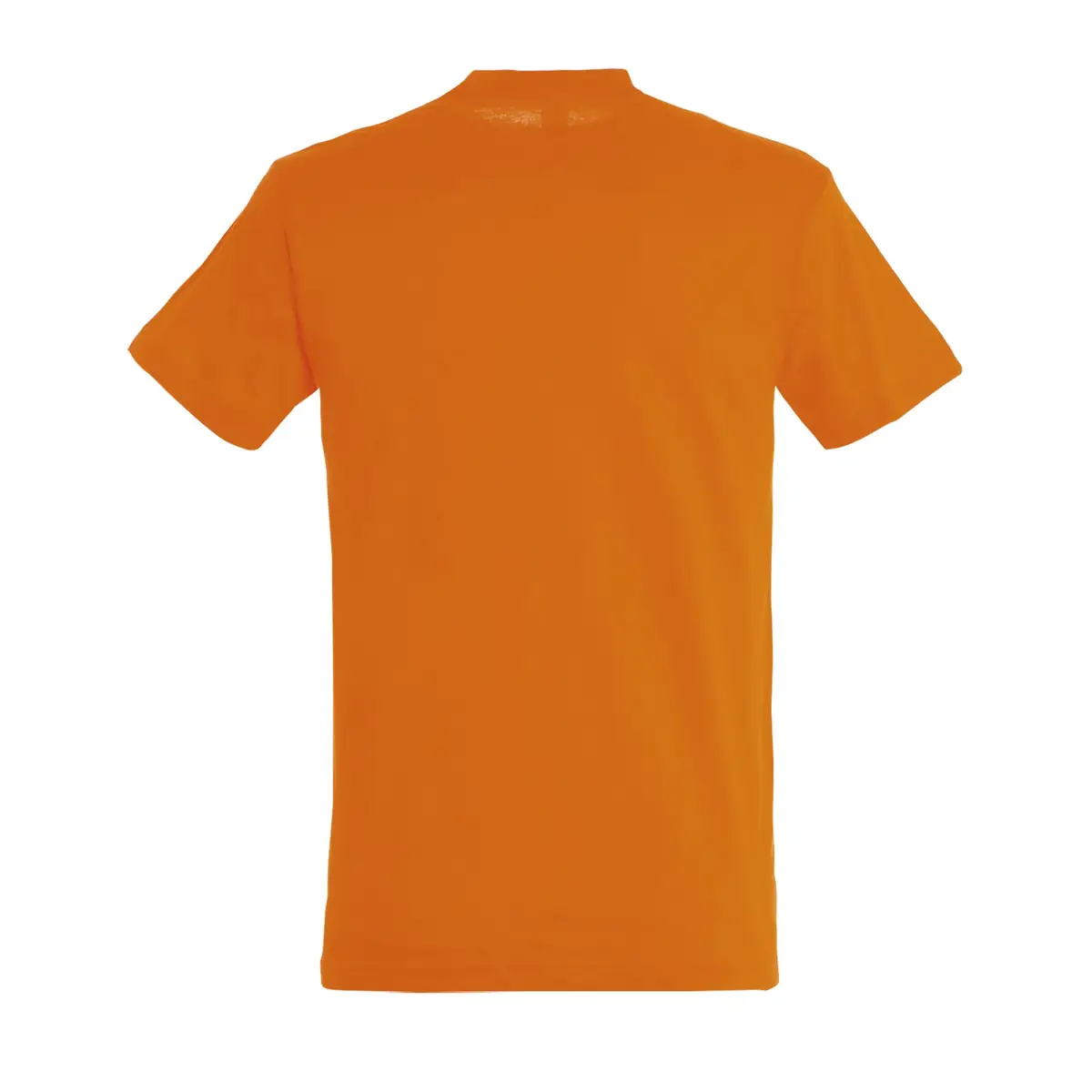 Camiseta SOL'S TITAN 04728 45 Camiseta SOL'S TITAN 04728 - Imagen 45