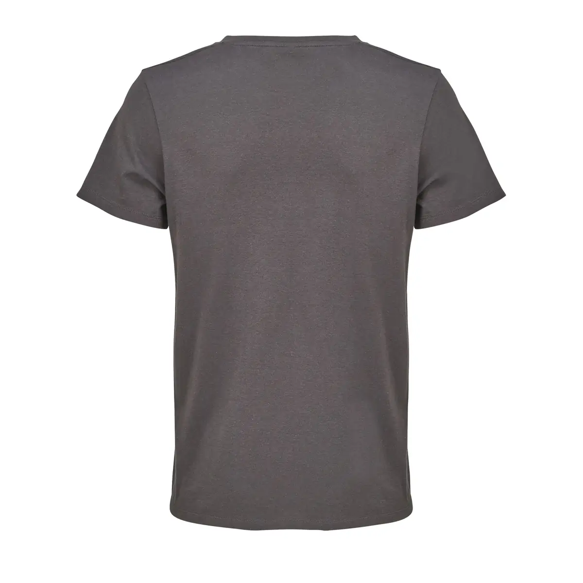 Camiseta SOL'S REGENT V 04765 41 Camiseta SOL'S REGENT V 04765 - Imagen 41