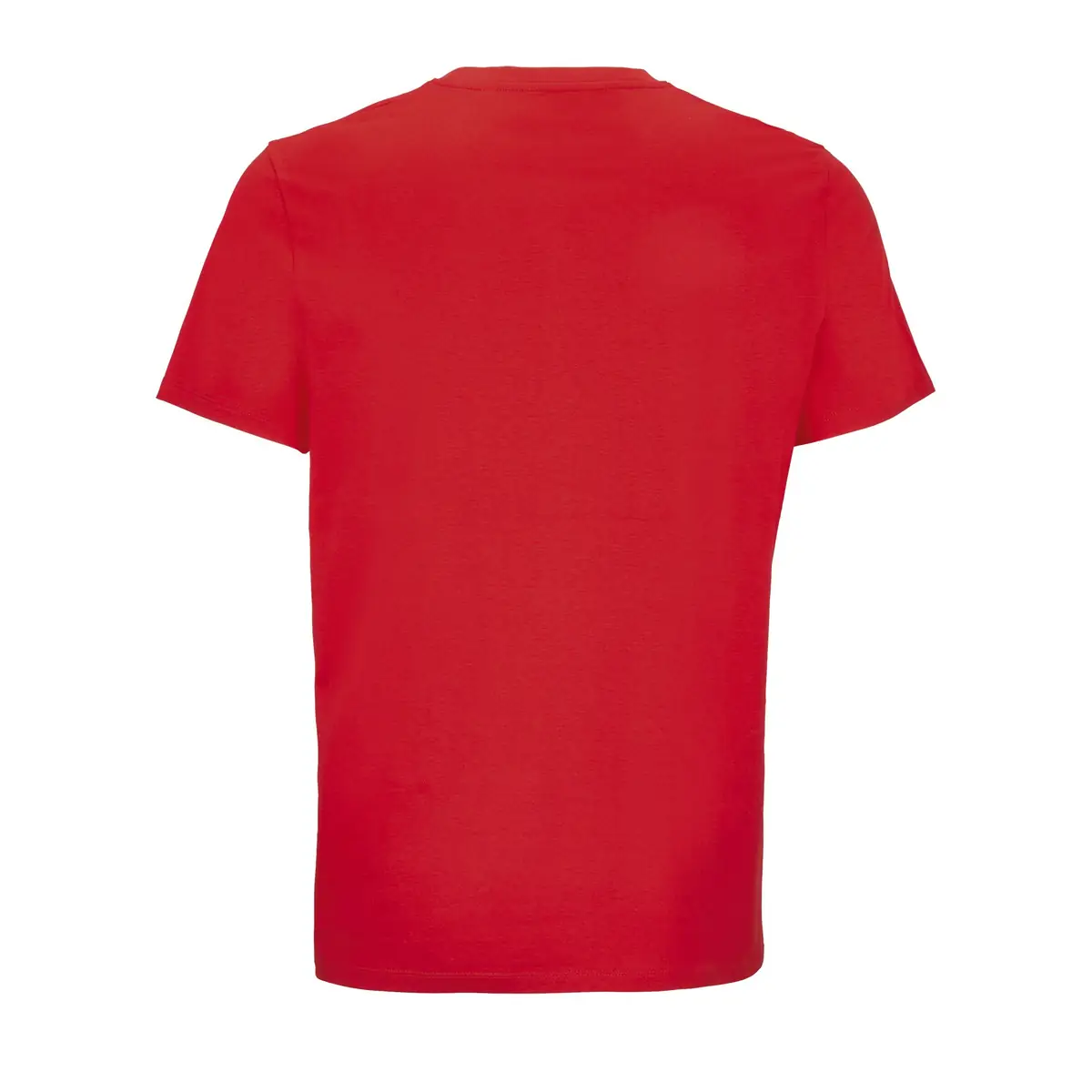 Camiseta SOL'S LYAM 04859 39 Camiseta SOL'S LYAM 04859 - Imagen 39