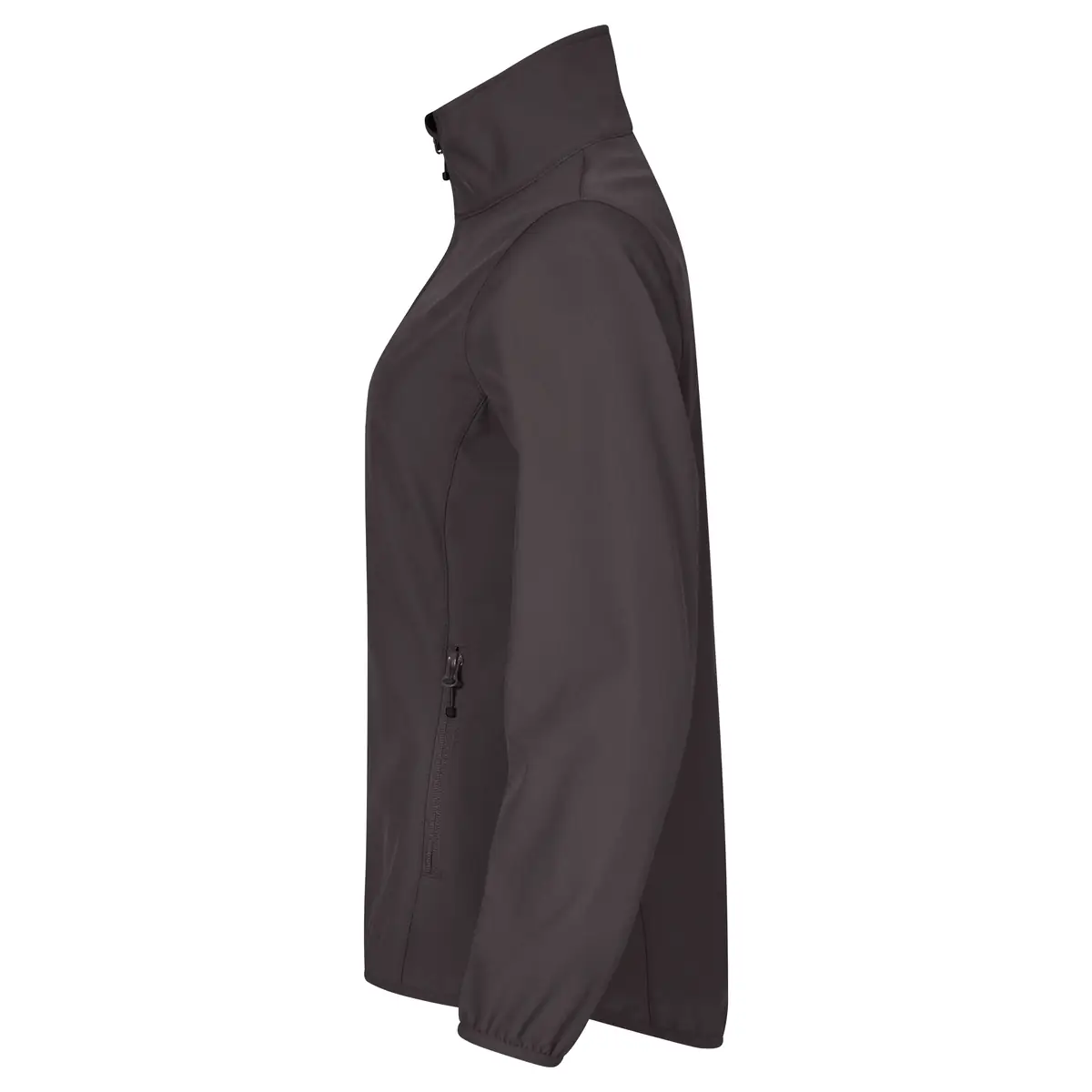 Chaqueta mujer CLIQUE CLASSIC SOFTSHELL JACKET WOMEN 0200915 33 Chaqueta mujer CLIQUE CLASSIC SOFTSHELL JACKET WOMEN 0200915, Gris, lateral izquierdo