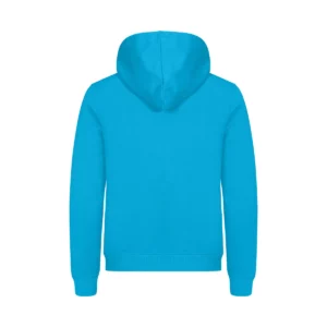 Sudadera unisex CLIQUE MIAMI HOODY 0201031, Turquesa, vista posterior