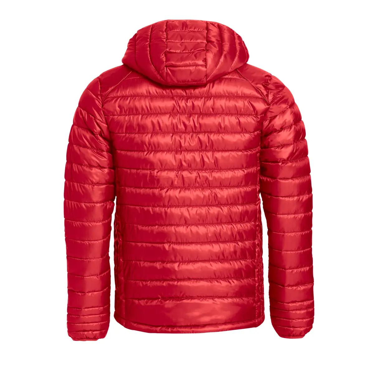 Chaqueta infantil CLIQUE HUDSON JUNIOR 020905 5 Chaqueta infantil Clique Hudson Junior 020905, Rojo, vista posterior