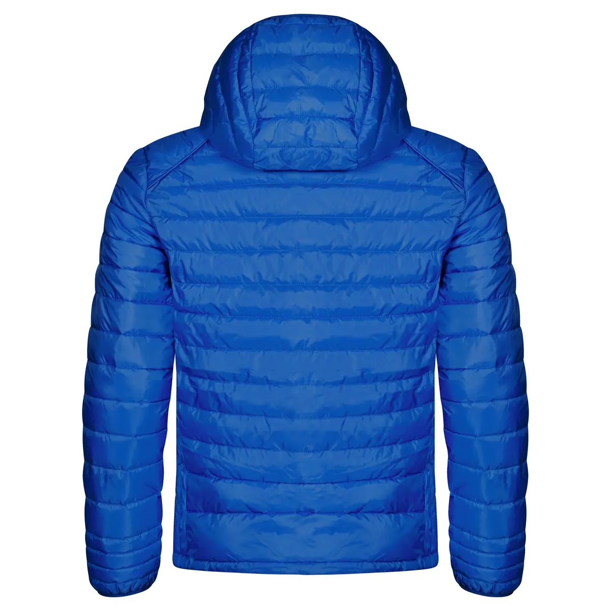 Chaqueta acolchada de hombre CLIQUE HUDSON 020976 9 Chaqueta acolchada Clique Hudson 020976, Azul real, vista posterior