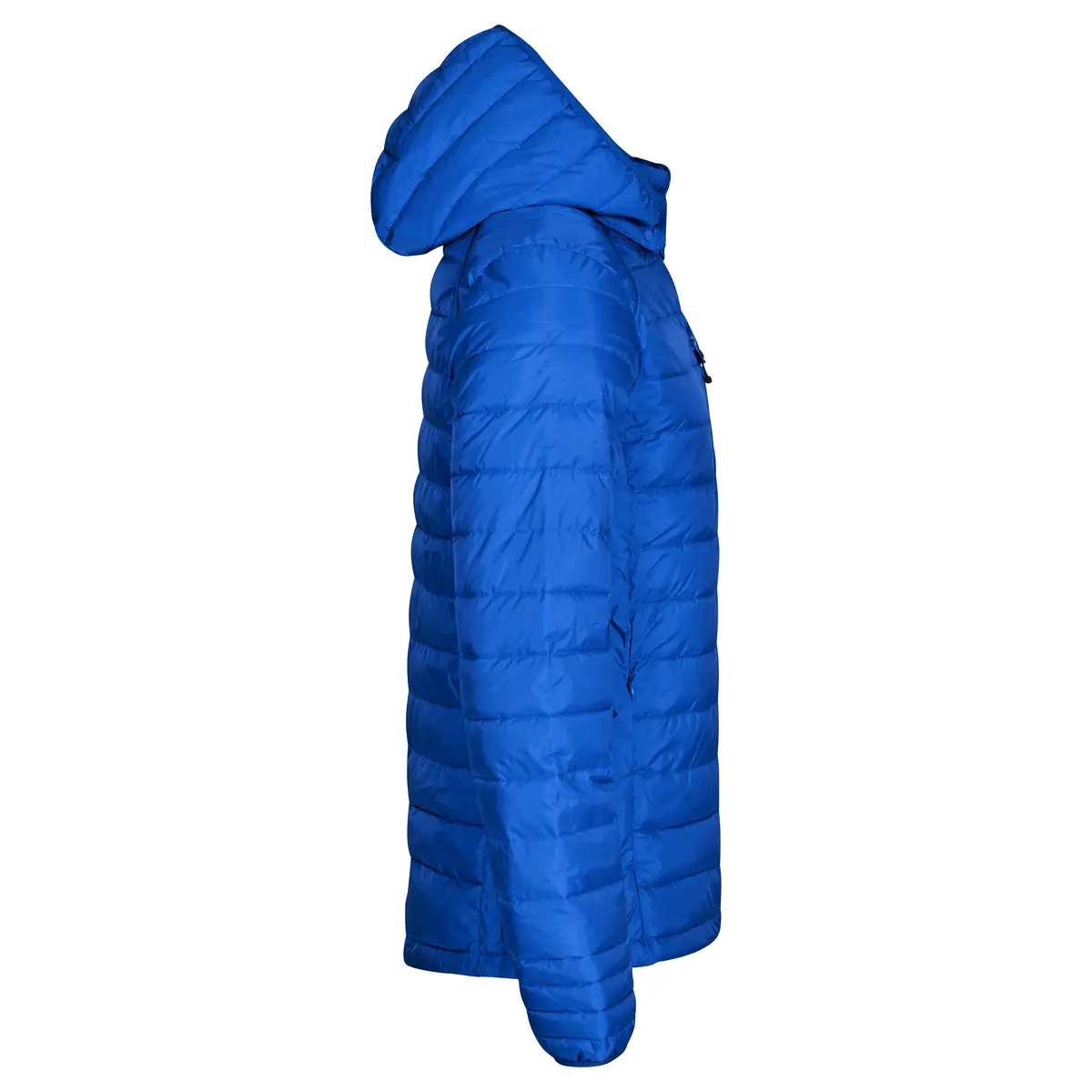 Chaqueta acolchada de hombre CLIQUE HUDSON 020976 8 Chaqueta acolchada Clique Hudson 020976, Azul real, lateral derecho
