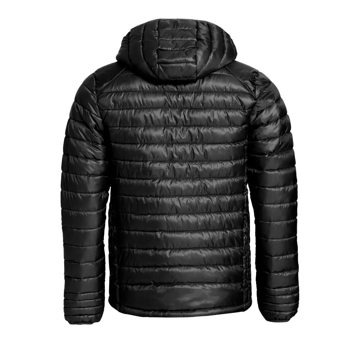 Chaqueta acolchada de hombre CLIQUE HUDSON 020976 23 Chaqueta acolchada Clique Hudson 020976, Negro, vista posterior