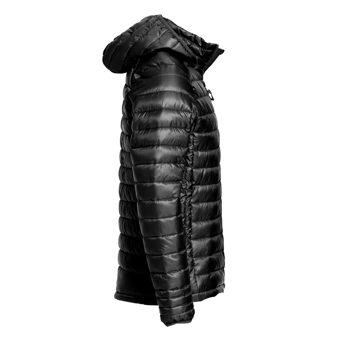 Chaqueta acolchada de hombre CLIQUE HUDSON 020976 22 Chaqueta acolchada Clique Hudson 020976, Negro, lateral derecho