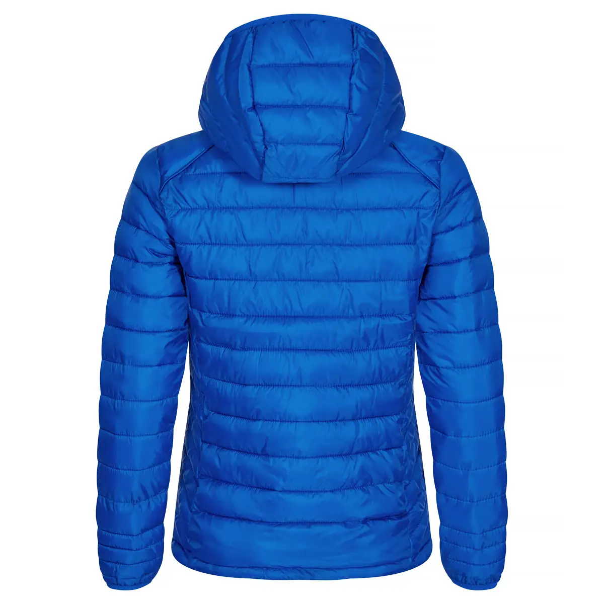 Chaqueta acolchada de mujer CLIQUE HUDSON WOMEN 020977 8 Chaqueta de mujer Clique Hudson Women 020977, Azul real, vista posterior