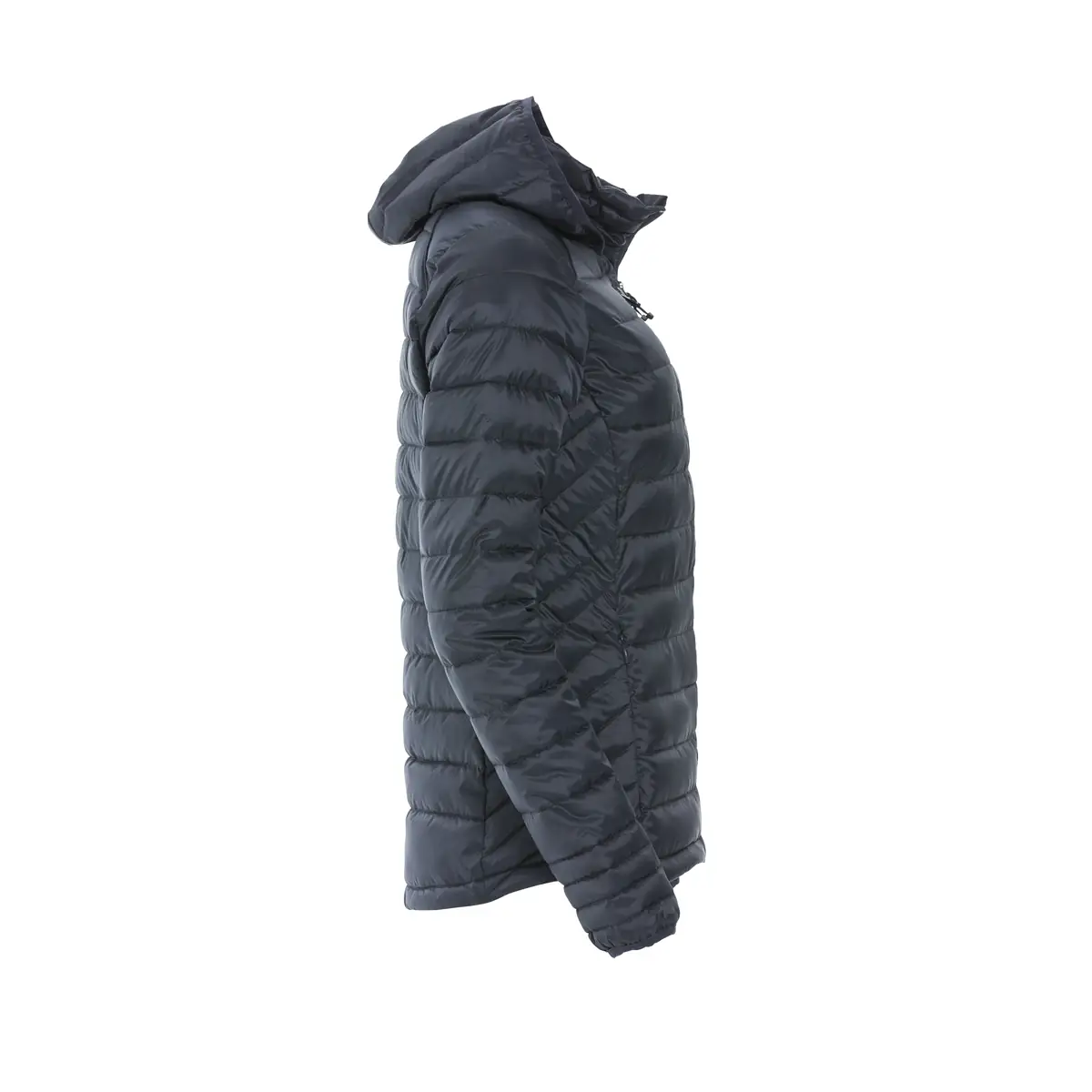 Chaqueta acolchada de mujer CLIQUE HUDSON WOMEN 020977 12 Chaqueta de mujer Clique Hudson Women 020977, Azul marino oscuro, vista oblicua