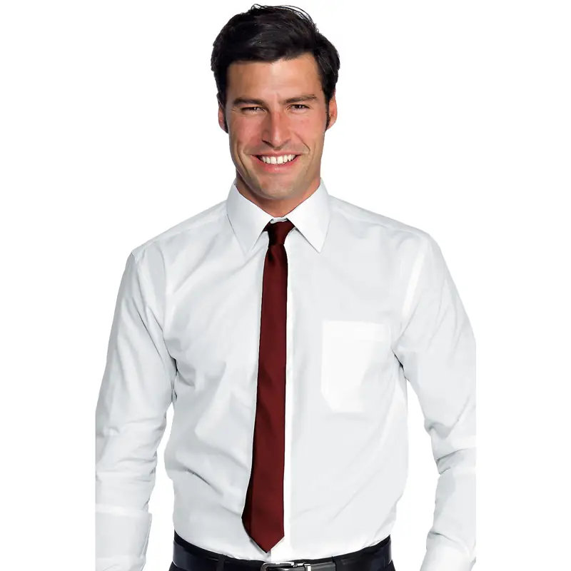 Corbata estrecha Isacco 115003 1 Corbata Isacco 115003, Burdeos, vista alternativa con modelo