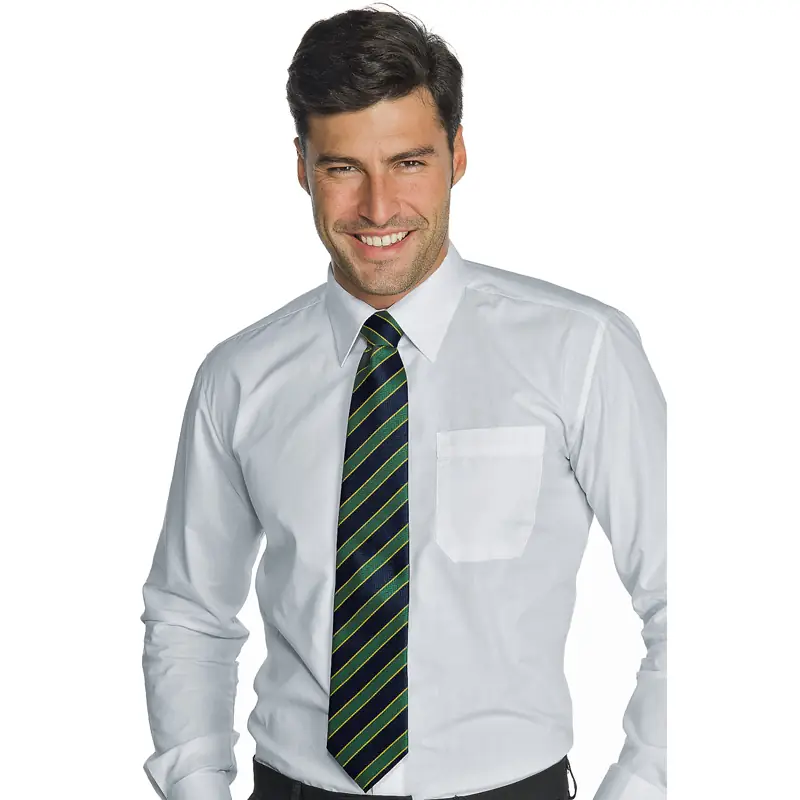 Corbata Regimental Isacco 115124 1 Corbata Isacco 115124, Verde, vista alternativa con modelo
