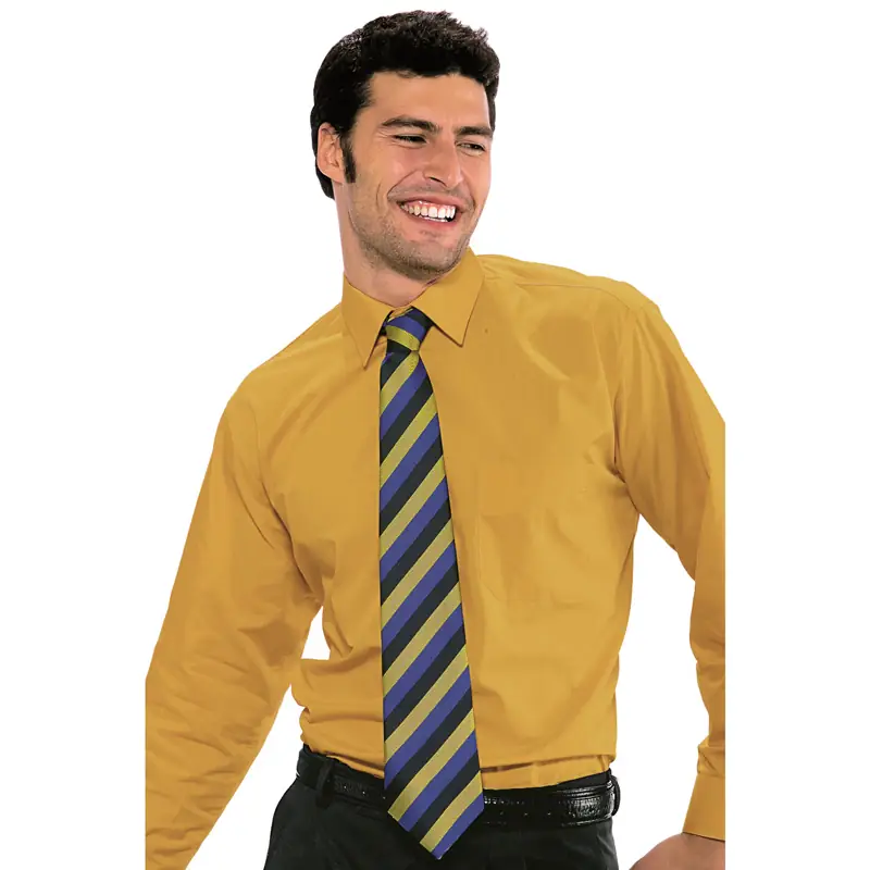 Corbata Regimental Isacco 115126 1 Corbata Isacco 115126, Blu cina, vista alternativa con modelo