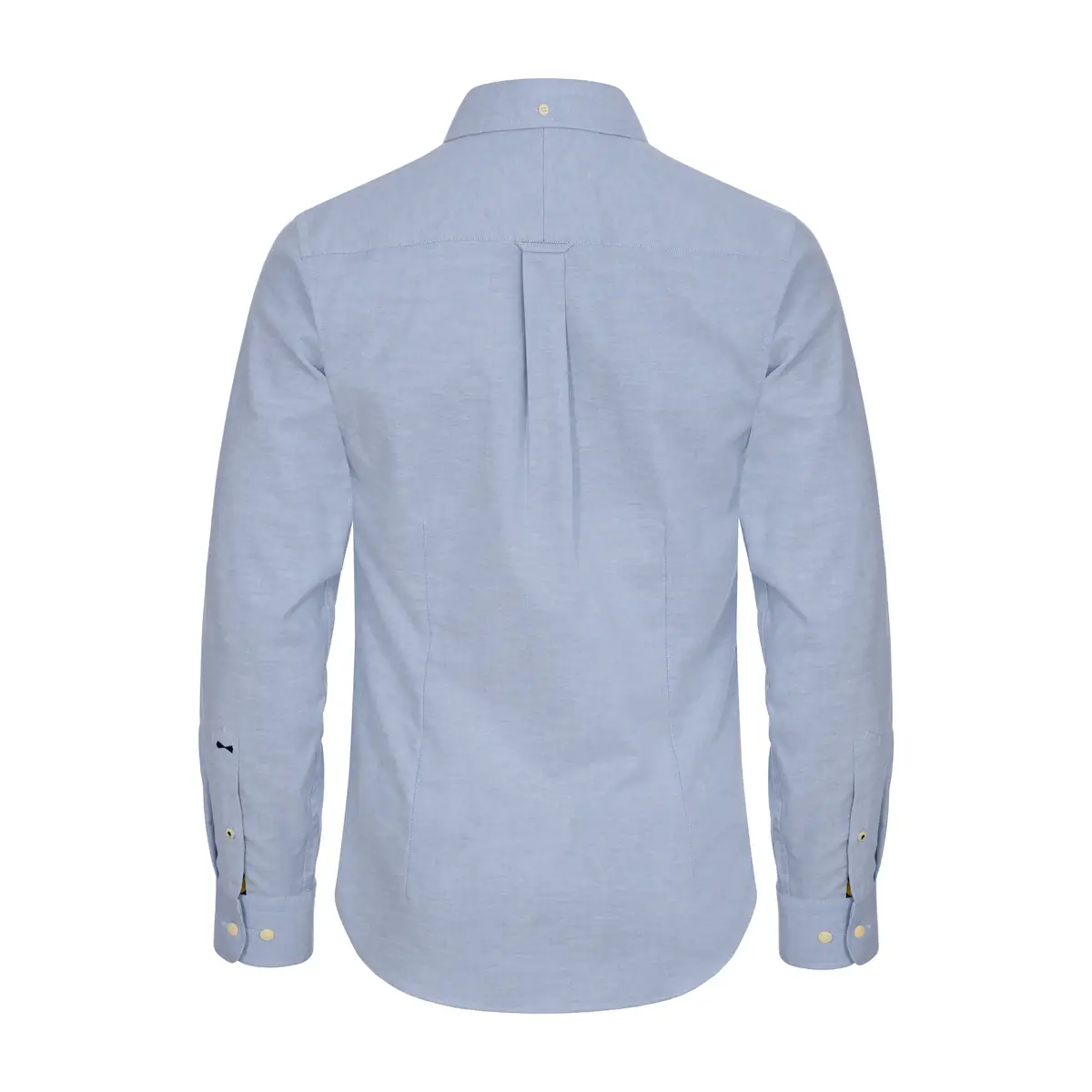 Camisa hombre J. HARVEST & FROST YB54 OXFORD REGULAR 2905401 6 Camisa hombre J. HARVEST & FROST YB54 OXFORD REGULAR 2905401, Sky blue, vista posterior