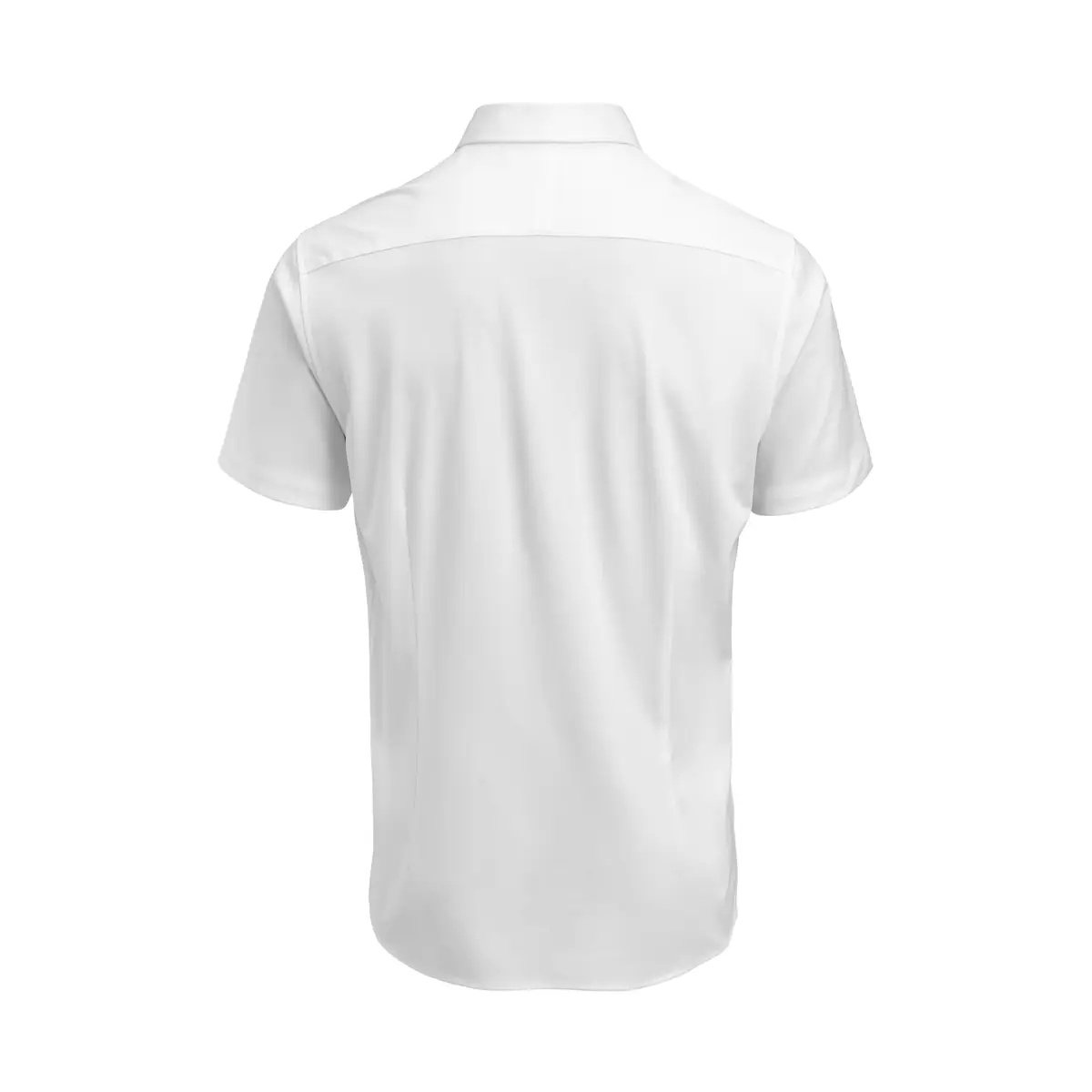 Camisa hombre J. HARVEST & FROST IB132 S/S REGULAR 2913211 6 Camisa hombre J. HARVEST & FROST IB132 S/S REGULAR 2913211 - Imagen 6