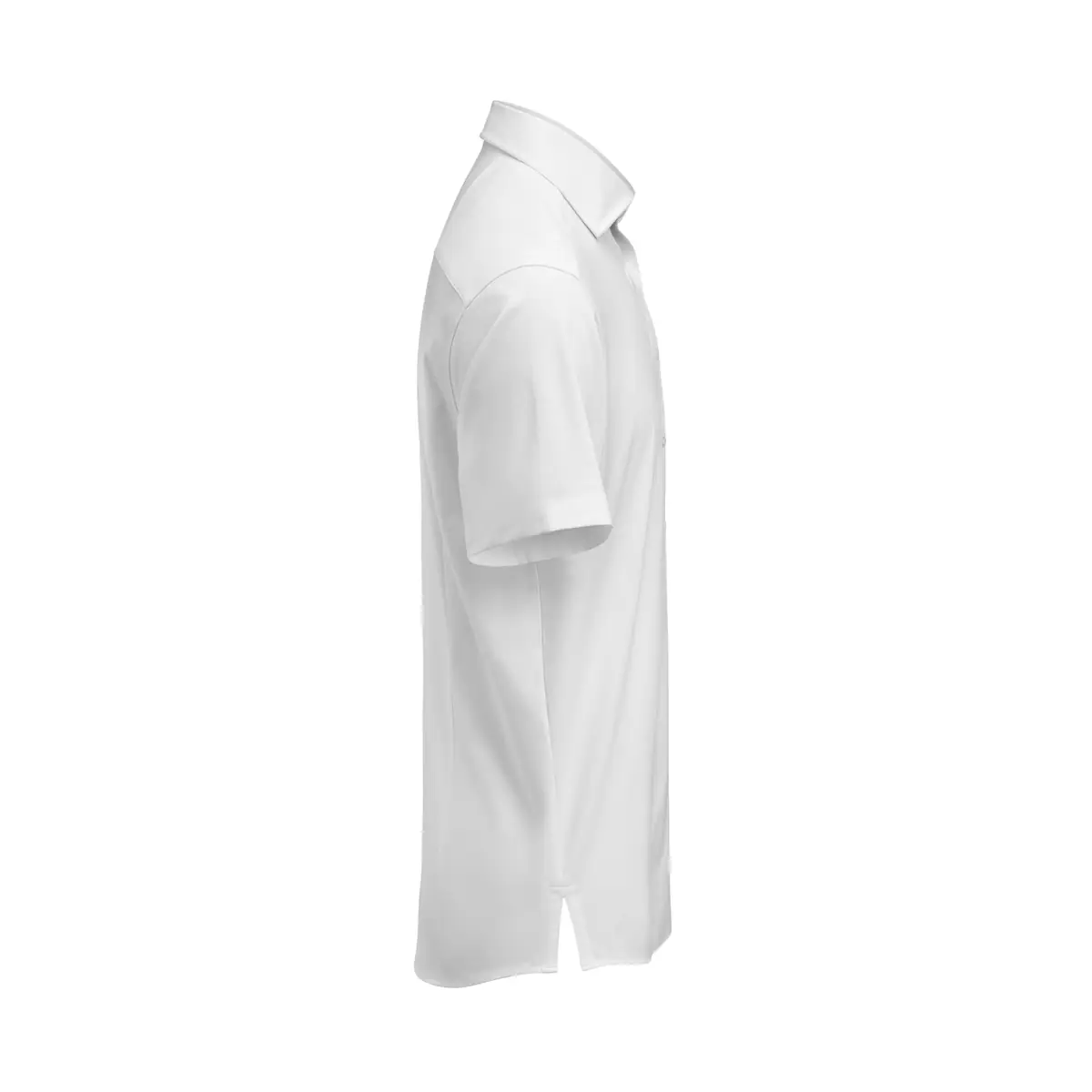 Camisa hombre J. HARVEST & FROST IB132 S/S REGULAR 2913211 5 Camisa hombre J. HARVEST & FROST IB132 S/S REGULAR 2913211 - Imagen 5